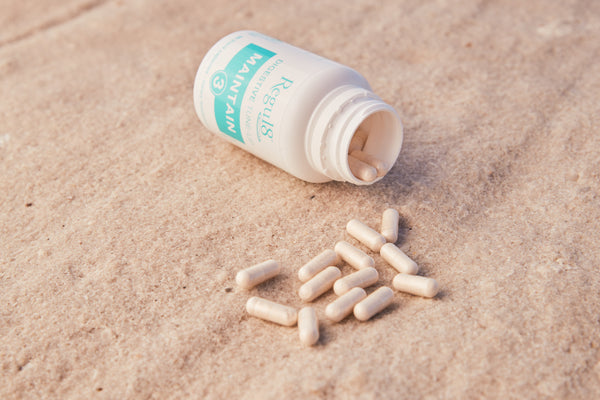 MAINTAIN – Pre & Probiotic